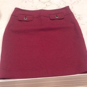 Ann Taylor Loft Skirt